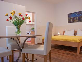 Studio Apartment Wien - Typ V - 