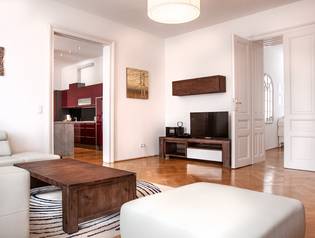 Luxus Apartment Wien Nähe Innenstadt - Türkenstraße - 